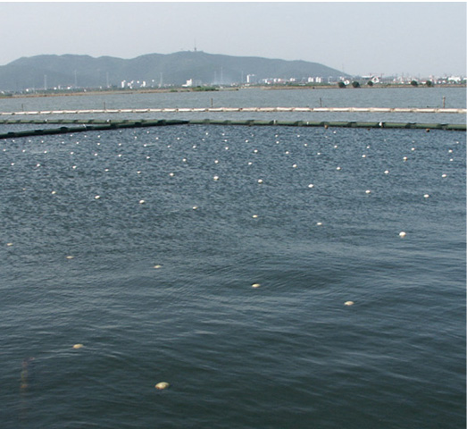 生物控藻技術